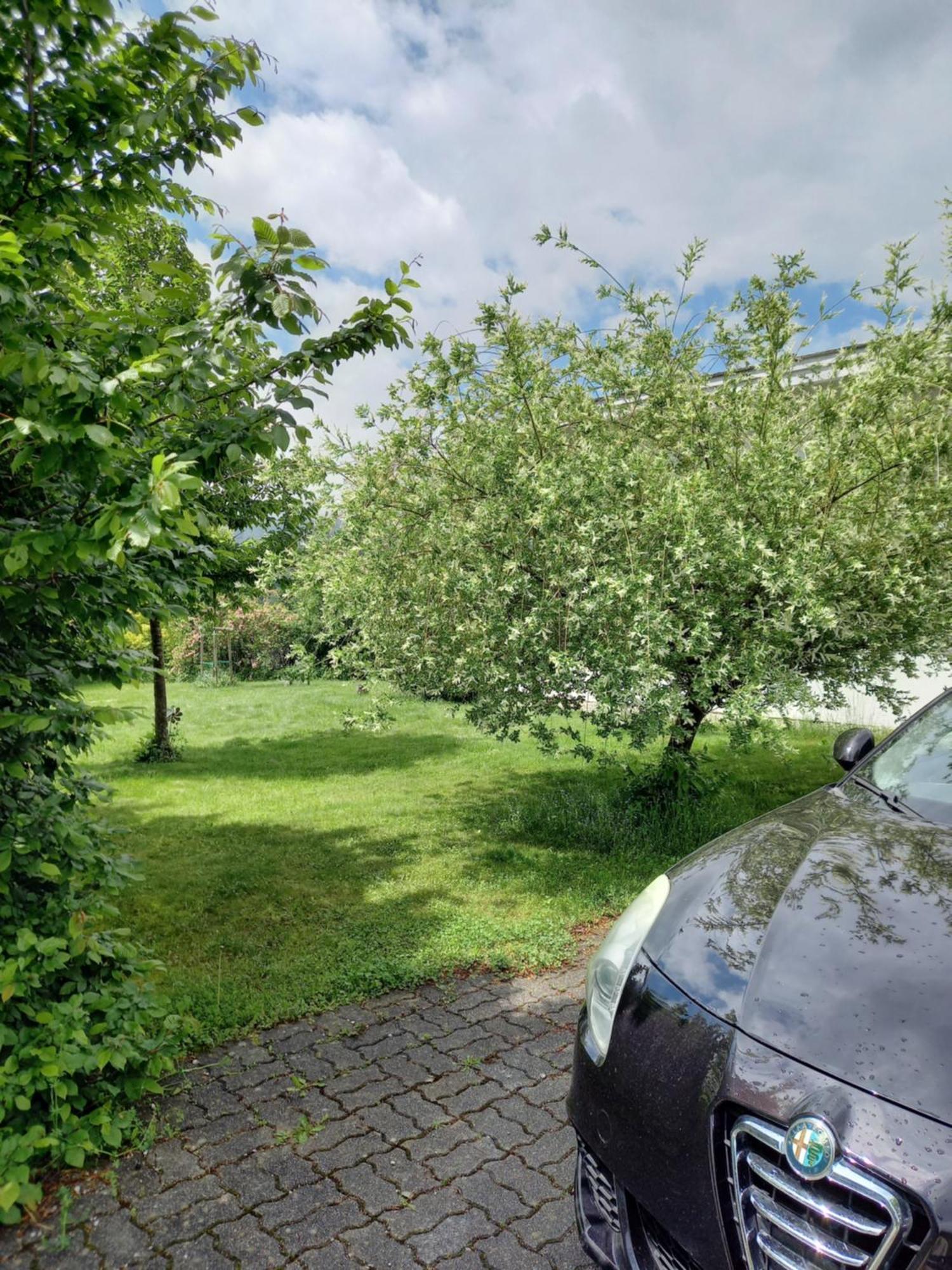 Flores, Ferienhaus Oder Doppelzimmer, Im Gruenen, 5 Gehminuten Ins Zentrum, Parkplatz, Zero Emissions Bad Ischl Exterior foto